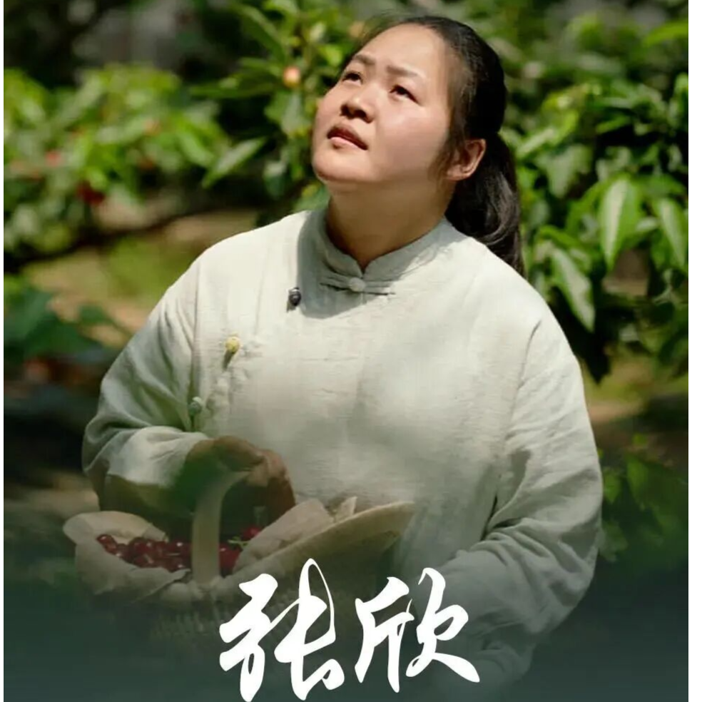 @张欣，你被点名了！